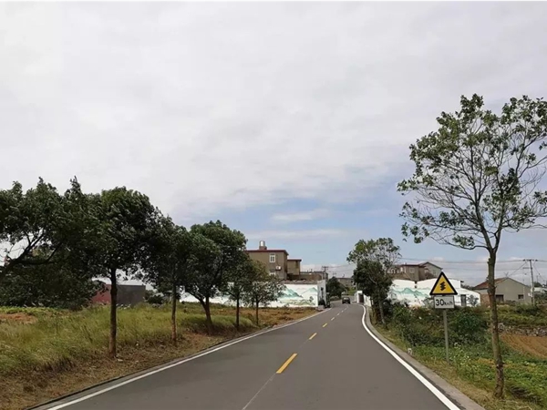 石油沥青道路铺设